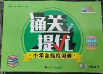 2025年通關提優全能檢測卷六年級英語下冊譯林版