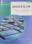 2025年同步練習(xí)冊人民教育出版社九年級化學(xué)下冊人教版山東專版