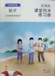 2025年新課程課堂同步練習(xí)冊七年級數(shù)學(xué)下冊人教版