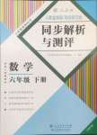 2025年人教金学典同步解析与测评六年级数学下册人教版云南专版