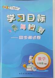 学习目标与检测同步测试卷六年级数学人教版