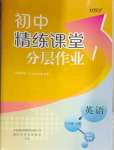 2025年精練課堂分層作業(yè)八年級英語下冊人教版臨沂專版