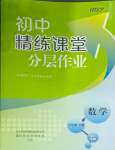 2025年精練課堂分層作業(yè)七年級(jí)數(shù)學(xué)下冊(cè)人教版臨沂專版