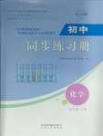 2025年同步練習(xí)冊山東人民出版社九年級(jí)化學(xué)下冊人教版