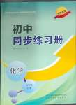 2025年同步練習(xí)冊(cè)山東科學(xué)技術(shù)出版社九年級(jí)化學(xué)下冊(cè)魯教版