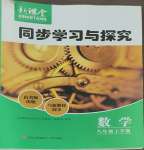 2025年新課堂同步學(xué)習(xí)與探究八年級數(shù)學(xué)下冊人教版金鄉(xiāng)專版