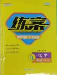 2025年練案九年級(jí)化學(xué)下冊(cè)人教版