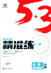 2025年53精準練九年級化學下冊人教版山西專版