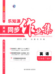 2025年樂知源同步作業集九年級英語下冊人教版