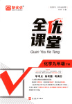 2025年全優課堂九年級化學下冊