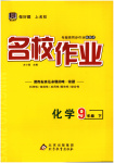 2025年名校作業(yè)九年級化學(xué)下冊人教版