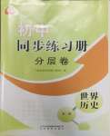 2025年同步练习册分层卷世界历史第二册人教版54制
