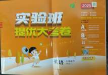 2025年實驗班提優大考卷三年級英語下冊譯林版