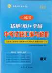 2025年中考試題匯編與解析語文山東專版