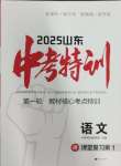 2025年中考特訓語文山東專版