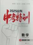 2025年中考特訓數學山東專版