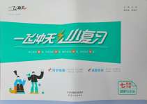 2025年一飛沖天小復(fù)習(xí)七年級(jí)道德與法治下冊(cè)人教版