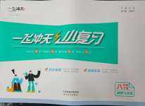 2025年一飛沖天小復習八年級道德與法治下冊人教版