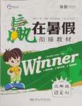 2025年贏在暑假銜接教材二年級語文人教版
