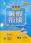 2025年實驗班提優訓練暑假銜接版三升四年級語文人教版