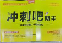 2025年沖刺吧期末八年級物理下冊人教版