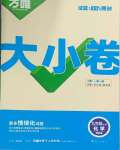 2025年萬唯中考大小卷九年級化學全一冊人教版