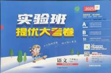 2025年實驗班提優(yōu)大考卷三年級語文上冊人教版