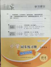 同步练习册智慧拓展五年级语文人教版菏泽专版