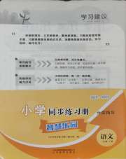 同步练习册智慧拓展二年级语文人教版菏泽专版