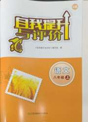 自我提升与评价八年级语文人教版