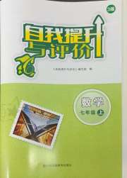 自我提升与评价七年级数学人教版