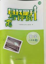 自我提升与评价八年级数学人教版