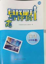 自我提升与评价七年级英语译林版