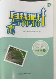 自我提升与评价八年级物理苏科版