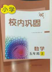 校内巩固五年级数学苏教版