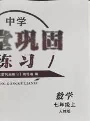 课堂巩固练习七年级数学人教版