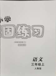 课堂巩固练习三年级语文人教版