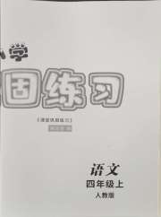 课堂巩固练习四年级语文人教版