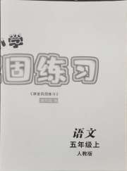 课堂巩固练习五年级语文人教版