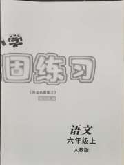 课堂巩固练习六年级语文人教版