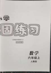 课堂巩固练习六年级数学人教版