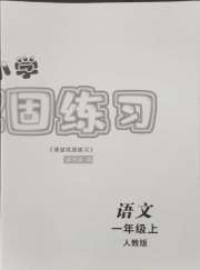 课堂巩固练习一年级语文人教版