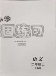 课堂巩固练习二年级语文人教版