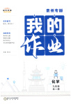2025年我的作业九年级化学全一册贵州专版
