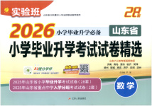 2026年小學畢業(yè)升學考試試卷精選六年級數(shù)學全一冊通用版山東專版