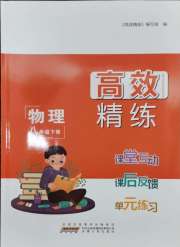 高效精练八年级物理苏科版