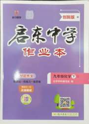 启东中学作业本九年级化学人教版盐城专版