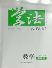 学法大视野八年级数学湘教版