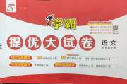 学霸提优大试卷四年级语文人教版