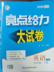 亮点给力大试卷九年级英语译林版